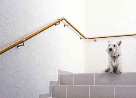 Artikel lesen Artikel lesen