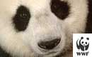 WWF Deutschland WWF Deutschland